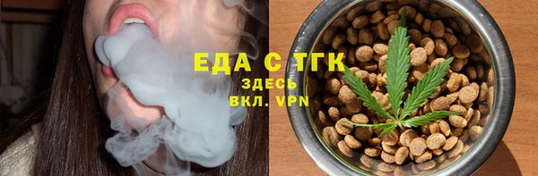 стаф Корсаков