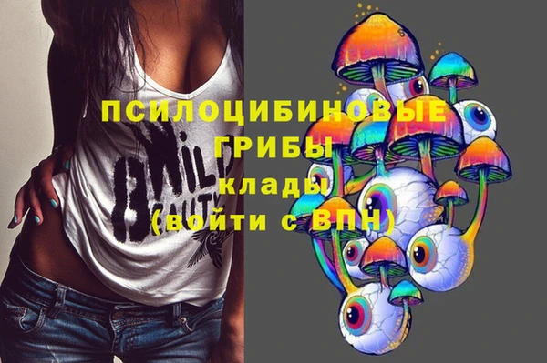 MESCALINE Коряжма