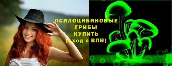 прущие грибы Костерёво