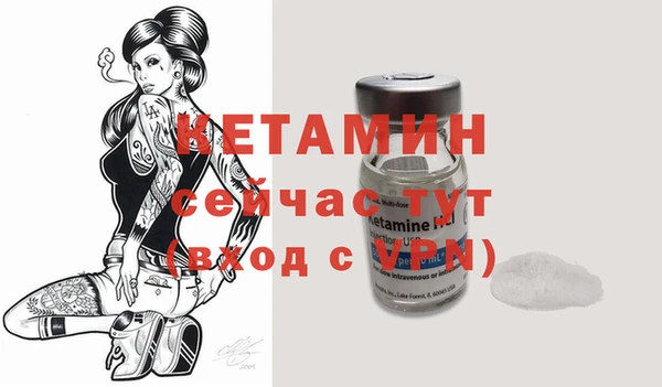 стаф Корсаков