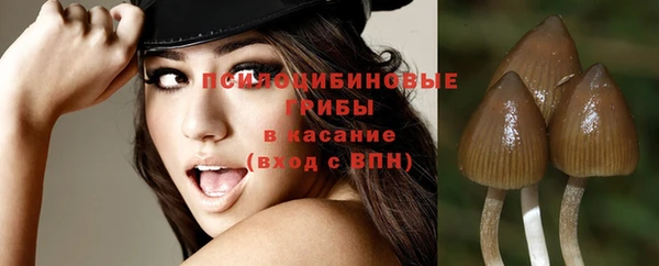 прущие грибы Костерёво