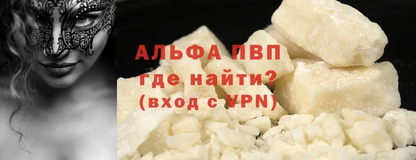 прущие грибы Костерёво