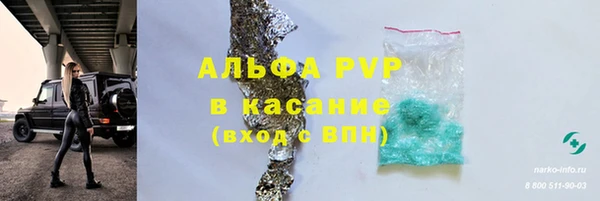 стаф Корсаков