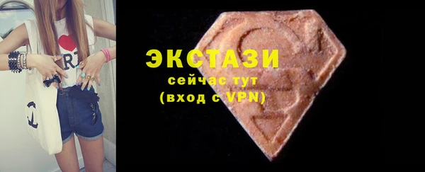 стаф Корсаков