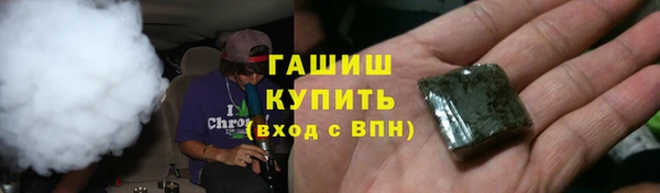 прущие грибы Костерёво