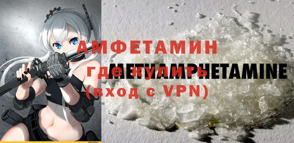 стаф Корсаков