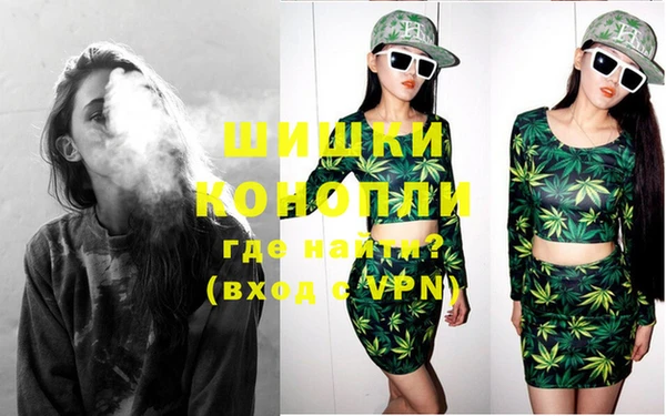 прущие грибы Костерёво