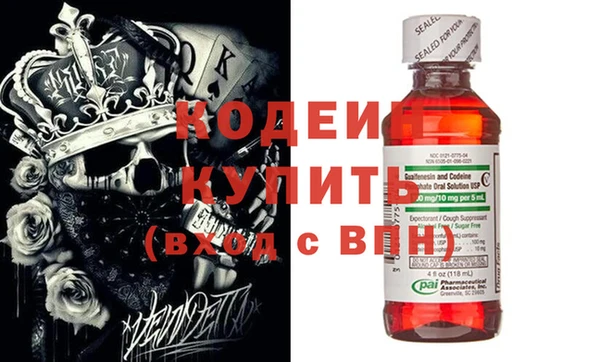 стаф Корсаков