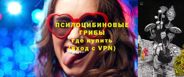 прущие грибы Костерёво