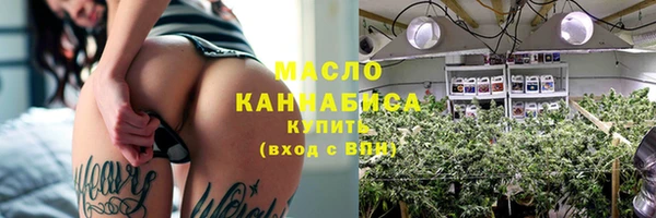 стаф Корсаков