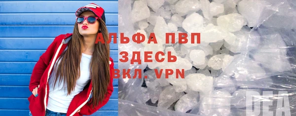стаф Корсаков