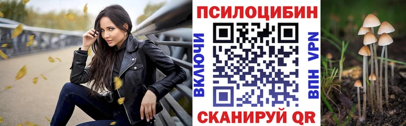 Купить закладки  Мглин  Галлюциногенные грибы мицелий 